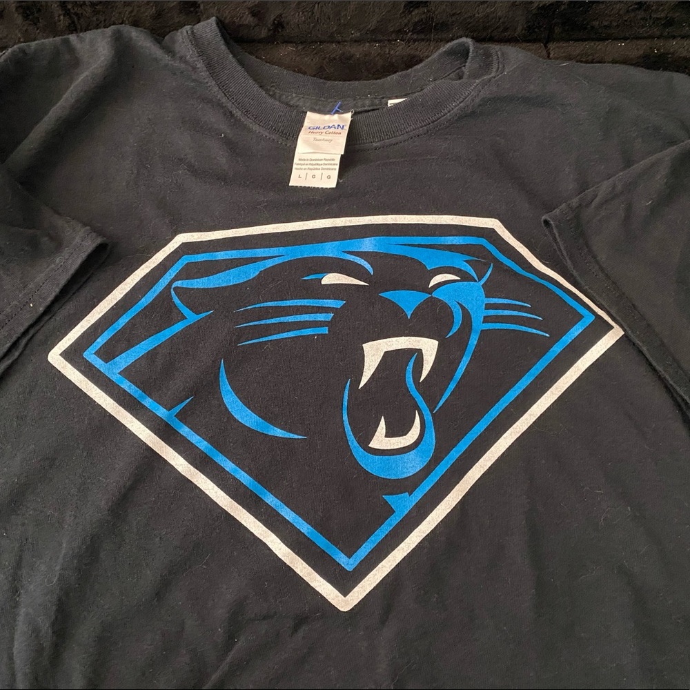 NFL Size Large All Black Gildan Carolina Panthers